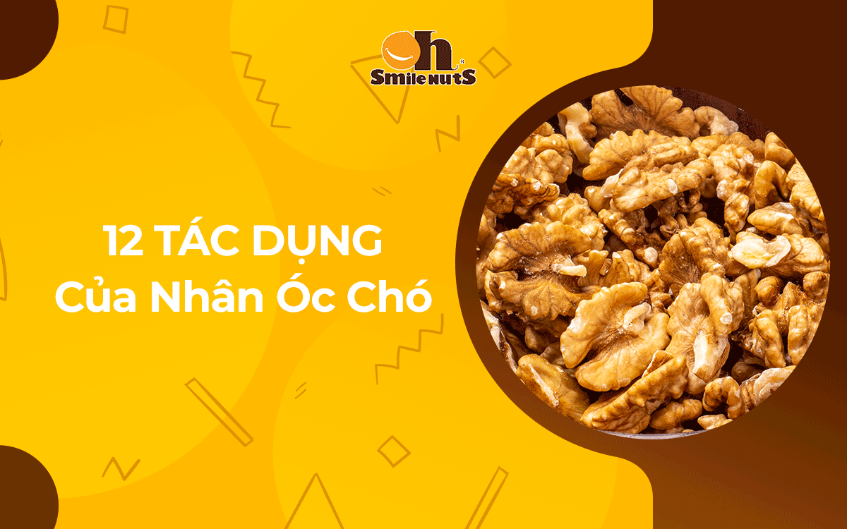 12 Tác Dụng Của Nhân Óc Chó Đối Với Bà Bầu Và Thai Nhi