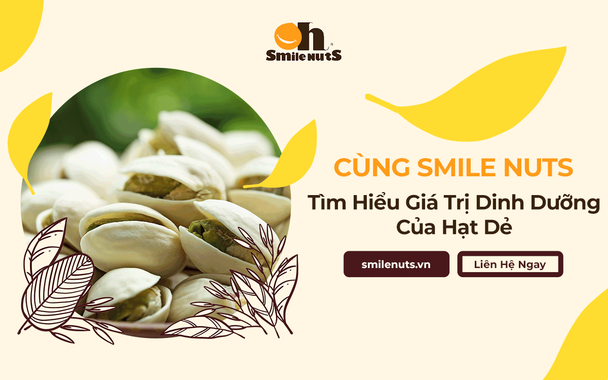 Cùng Smile Nuts Tìm Hiểu Giá Trị Dinh Dưỡng Của Hạt Dẻ
