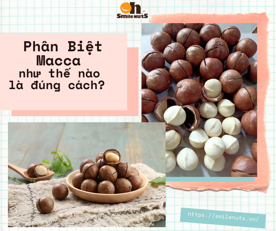 Ăn Macca nhiều nhưng bạn đã biết cách phân biệt hay chưa?