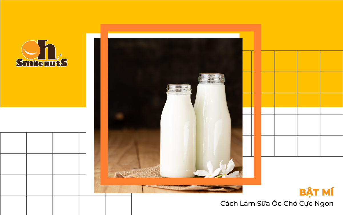Bật Mí Cách Làm Sữa Óc Chó Cực Ngon