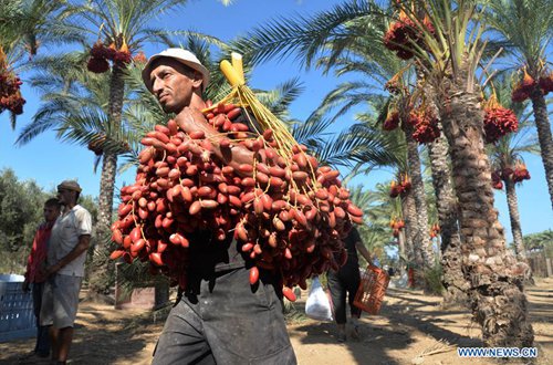 Khám Phá Một Trong Những Ngôi Làng Trồng Chà Là Lâu Đời Tại Tunisia