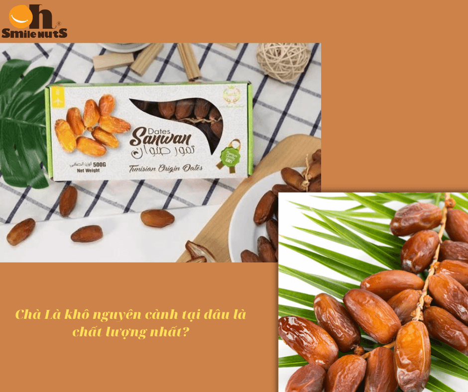 Chà Là khô nguyên cành tại đâu là chất lượng nhất?