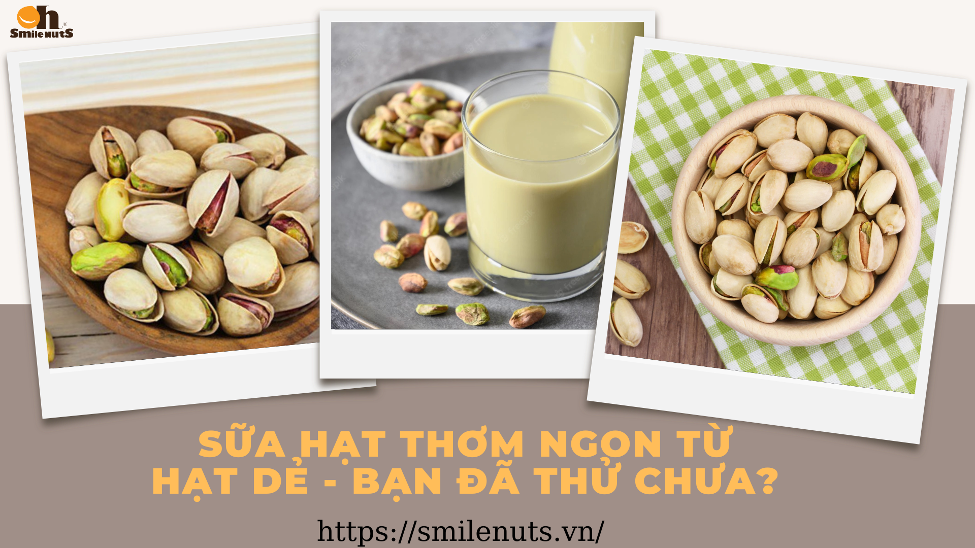 Sữa hạt thơm ngon từ Hạt Dẻ - Bạn đã thử chưa?