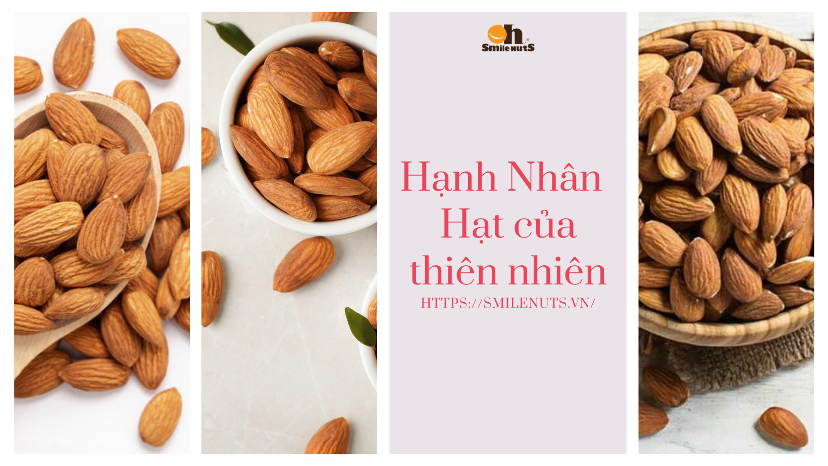 Hạnh Nhân - Hạt của thiên nhiên tạo nên