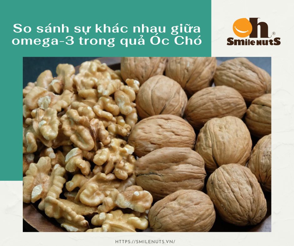 Omega-3 trong quả Óc Chó có gì khác với omega-3 trong các loại thực phẩm khác