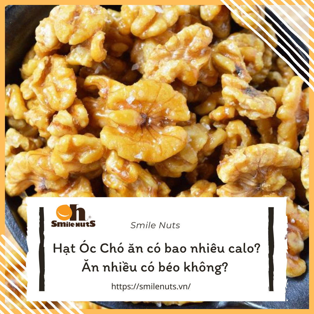 Hạt Óc Chó có bao nhiêu calo? Ăn nhiều có béo không?