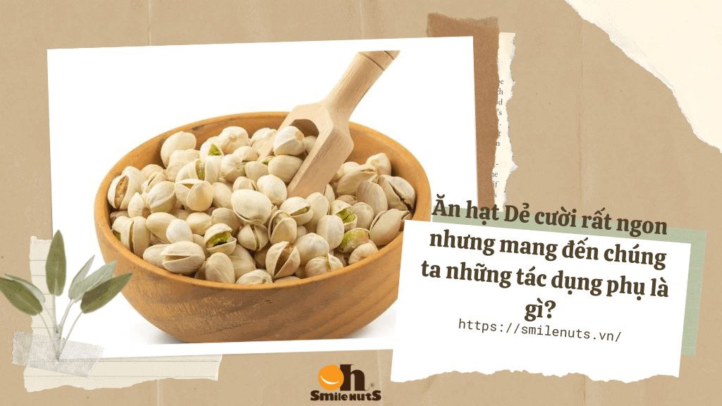 Tác dụng phụ hạt Dẻ Cười là gì?