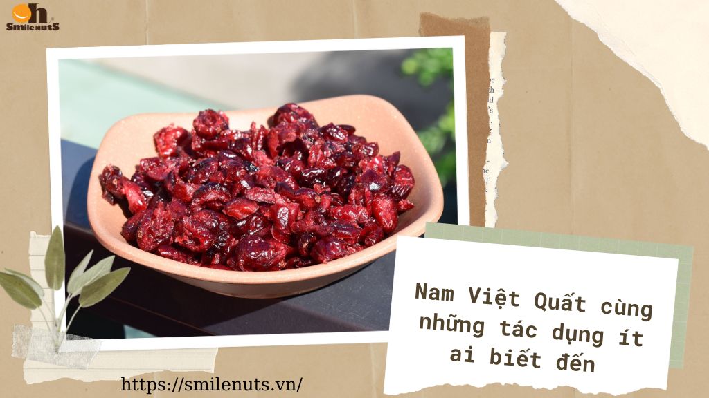 Nam Việt Quất cùng những tác dụng ít ai biết đến