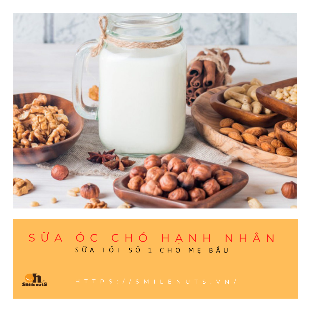 Sữa Óc Chó Hạnh Nhân - Sữa tốt số 1 cho mẹ bầu
