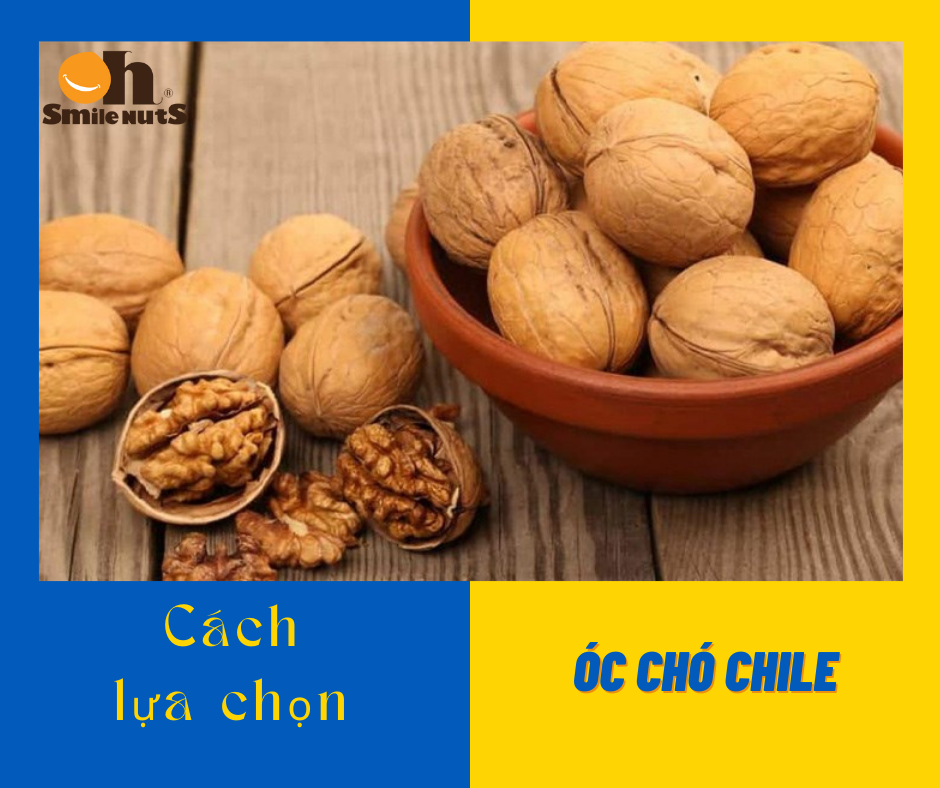 Lựa chọn mua hạt óc chó Chile như thế nào là đúng cách? Và cách tách vỏ