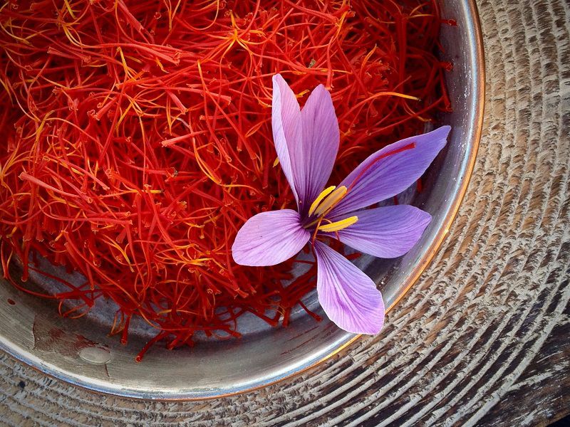 So Sánh Saffron Iran – Ấn – Tây Ban Nha: Loại Nào Tốt Nhất Cho Bạn?