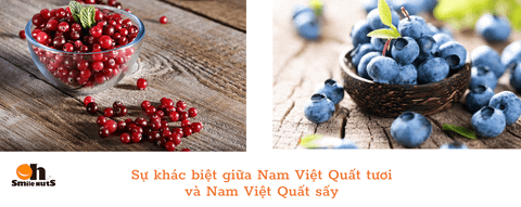 Sự khác biệt giữa Nam Việt Quất tươi và Nam Việt Quất sấy