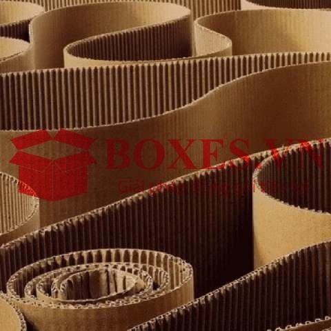 Giấy cuộn - nguyên liệu chính trong việc sản xuất thùng carton