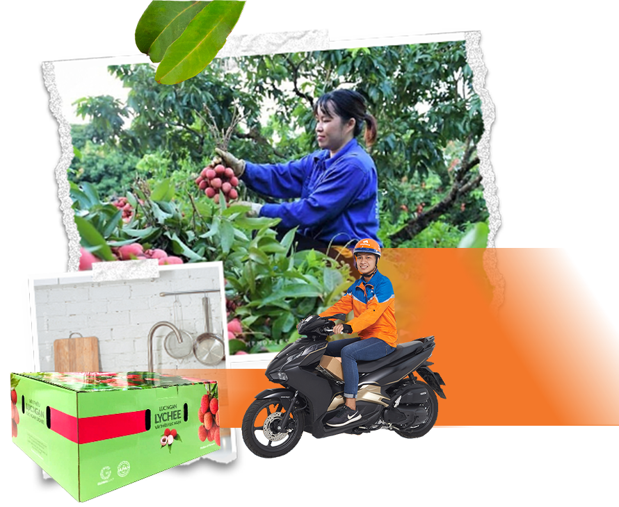 Ở Nhà, Ăn Vải Nhà