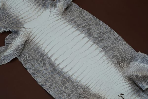 Khám Phá Các Màu Da Cá Sấu Cao Cấp Của B&Y Bespoke – Dấu Ấn Của Sự Sang Trọng