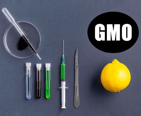 SINH VẬT BIẾN ĐỔI GEN (GMO) LÀ GÌ VÀ TẠI SAO NÊN SỬ DỤNG THỰC PHẨM KHÔNG BIẾN ĐỔI GEN (NON-GMO)?