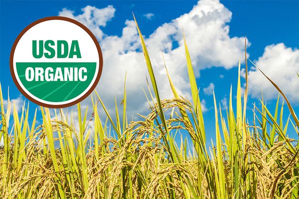USDA-Organic-certificate