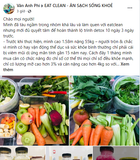 DETOX CẢI THIỆN CHỨNG VIÊM MŨI DỊ ỨNG