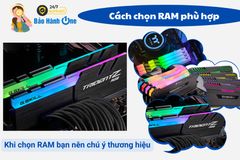 Hướng dẫn chi tiết cách chọn RAM phù hợp với main và CPU