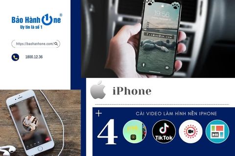 4+ cách cài video làm hình nền iPhone siêu đơn giản năm 2023