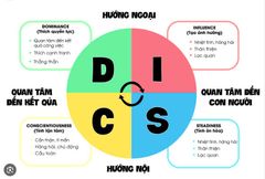 DISC là gì? Ứng dụng DISC trong quản lý nguồn nhân lực.