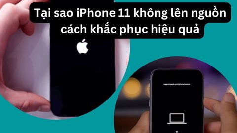 Giải pháp triệt để cho iPhone 11 bị tắt nguồn bật không lên