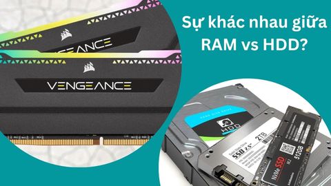 Điểm khác nhau giữa RAM và ổ HDD là gì và cách phân biệt chi tiết?