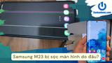 Samsung M23 bị sọc màn hình: Nguyên nhân và cách khắc phục hiệu quả