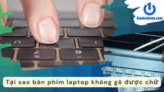 Tại sao bàn phím laptop không gõ được số?
