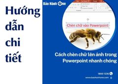 Cách chèn chữ lên ảnh trong Powerpoint chỉ trong 5 phút