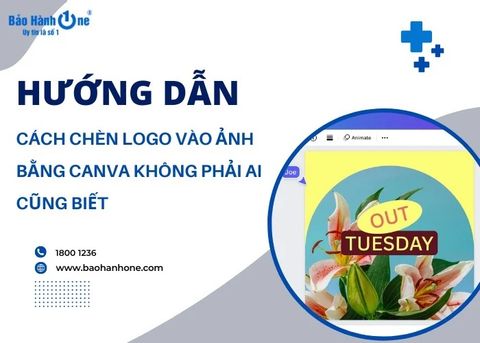 Hướng dẫn cách chèn logo vào ảnh bằng Canva không phải ai cũng biết