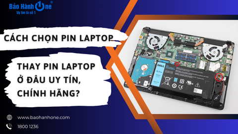 Cách chọn pin laptop - Thay pin laptop ở đâu uy tín, chính hãng?