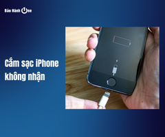 Lỗi cắm sạc iPhone không nhận phải làm thế nào? Cách xử lý hiệu quả