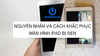 Cách xử lý iPad bị đen màn hình hiệu quả nhất