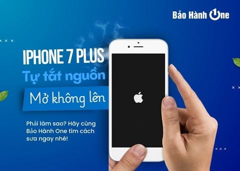 iPhone 7 plus tự tắt nguồn mở không lên xử lý thế nào?