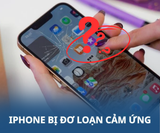 iPhone bị đơ màn hình loạn cảm ứng là do đâu và hướng khắc phục hiệu quả