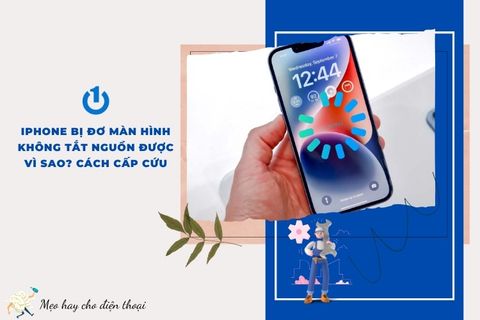 iPhone bị đơ màn hình không tắt nguồn được vì sao? Cách cấp cứu