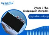 Vì sao iPhone 7 Plus bị sập nguồn không lên? Cách xử lý?