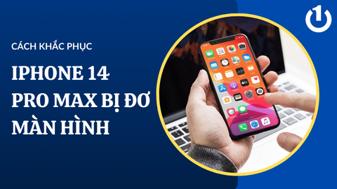 Sự cố iPhone 14 Pro Max bị đơ màn hình xử lý thế nào hiệu quả?