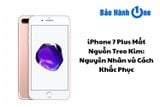 iPhone 7 Plus Mất Nguồn Treo Kim: Nguyên Nhân và Cách Khắc Phục