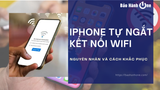 iPhone tự ngắt kết nối Wifi gây gián đoạn sử dụng? 7 cách khắc phục