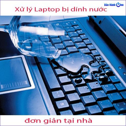 Cách xử lý nhanh khi laptop bị vô nước đơn giản tại nhà