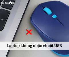 Cấp cứu laptop không nhận chuột USB hiệu quả bạn có thế thử
