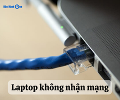 Laptop không nhận mạng dây phải xử lý thế nào nhanh chóng, hiệu quả?