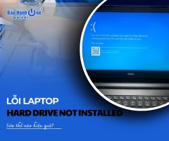 Lỗi Laptop Hard Drive Not Installed sửa thế nào hiệu quả?