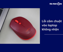 Lỗi cắm chuột vào laptop không nhận và cách khắc phục hiệu quả