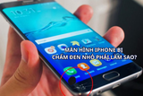 Màn hình iPhone bị chấm đen nhỏ có nên thay mới không và cách khắc phục