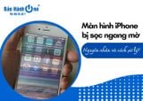 Vì sao màn hình iPhone bị sọc ngang mờ? Cách xử lý hiệu quả?