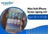 Vì sao màn hình iPhone bị sọc ngang mờ? Cách xử lý hiệu quả?