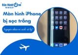 Nguyên nhân màn hình iPhone bị sọc trắng? Cách khắc phục?